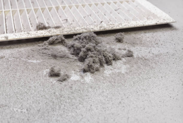 Best Best Air Duct Cleaning Company  in Mount Pleasant, IA