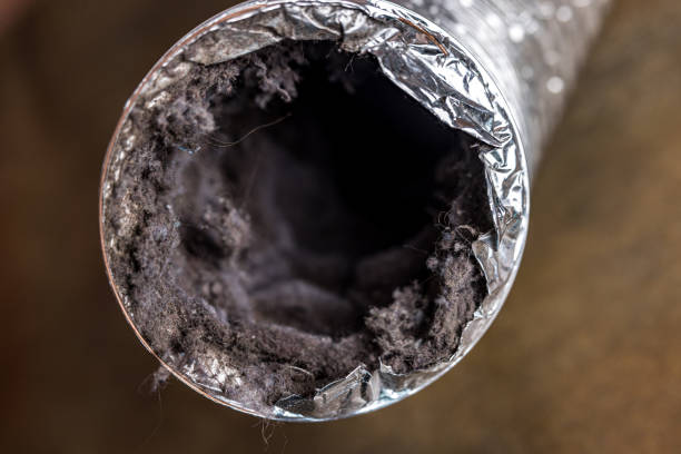 Best Local Air Duct Cleaning Services  in Mount Pleasant, IA