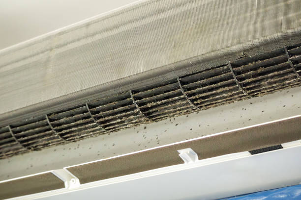 Best HVAC System Cleaning  in Mount Pleasant, IA